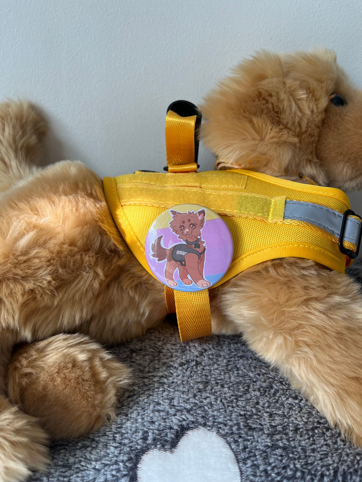 Taegan's ESSA Badge