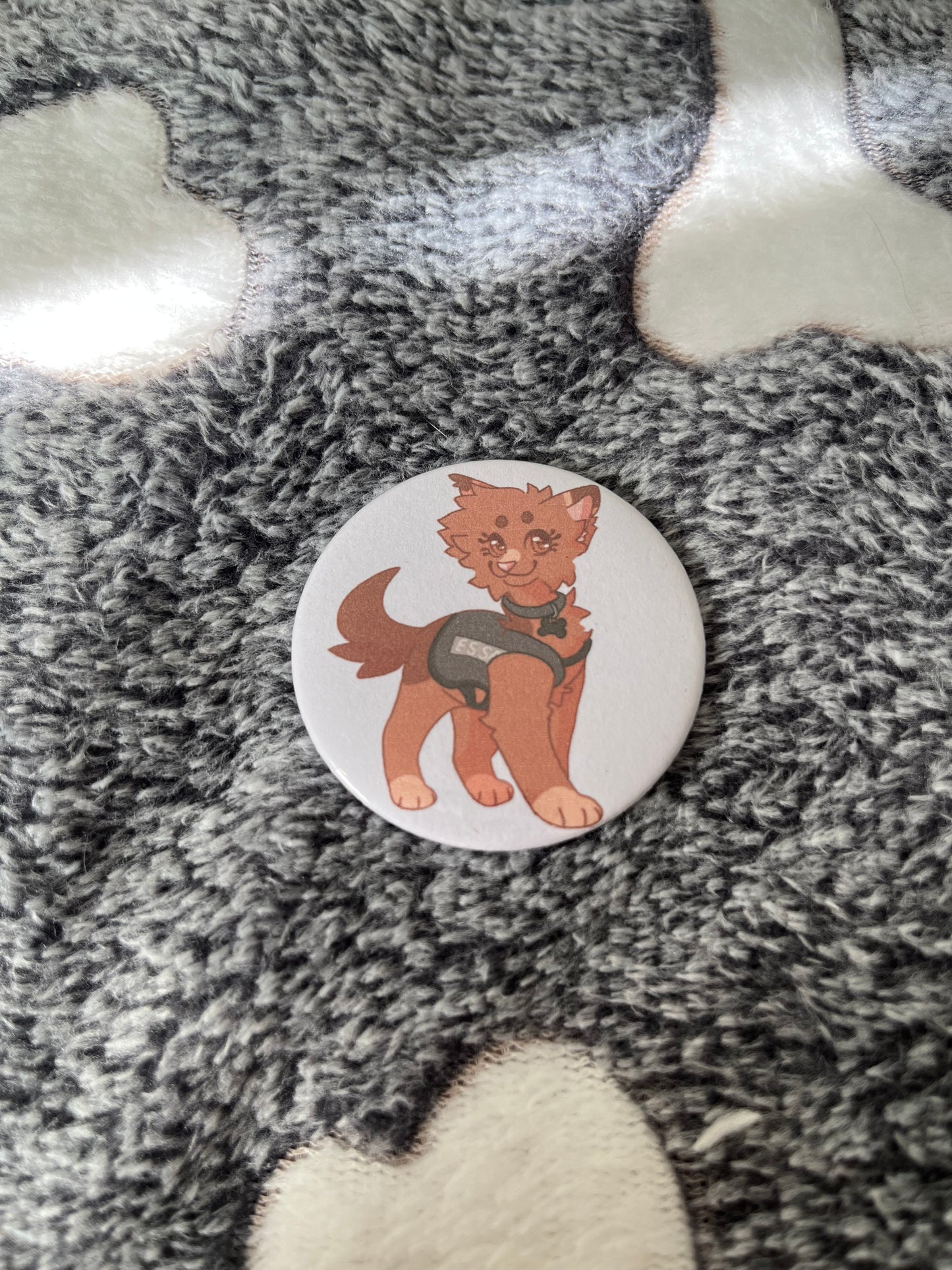 Taegan's ESSA Badge