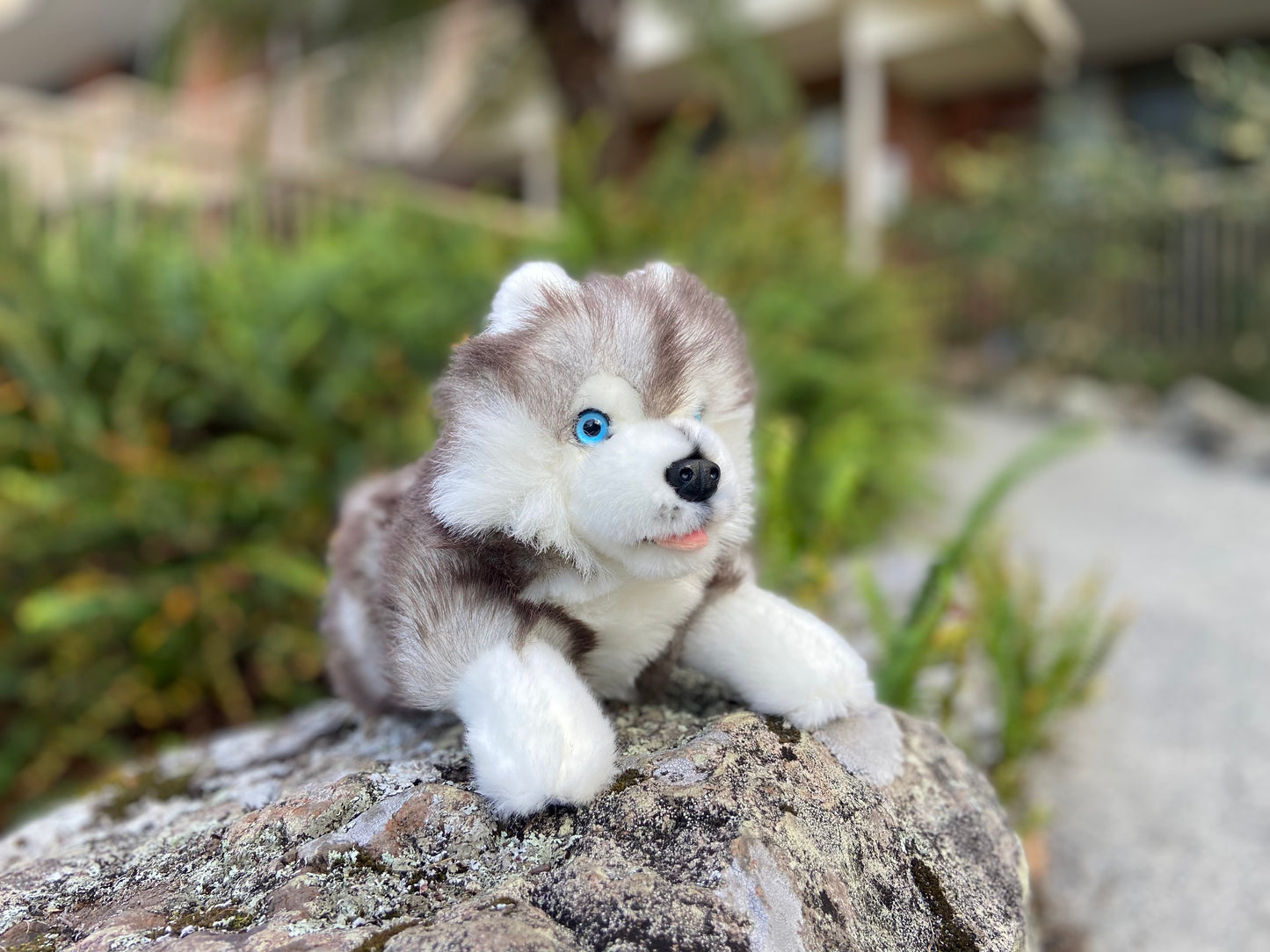 Marbles (Husky - 28cm floppy)