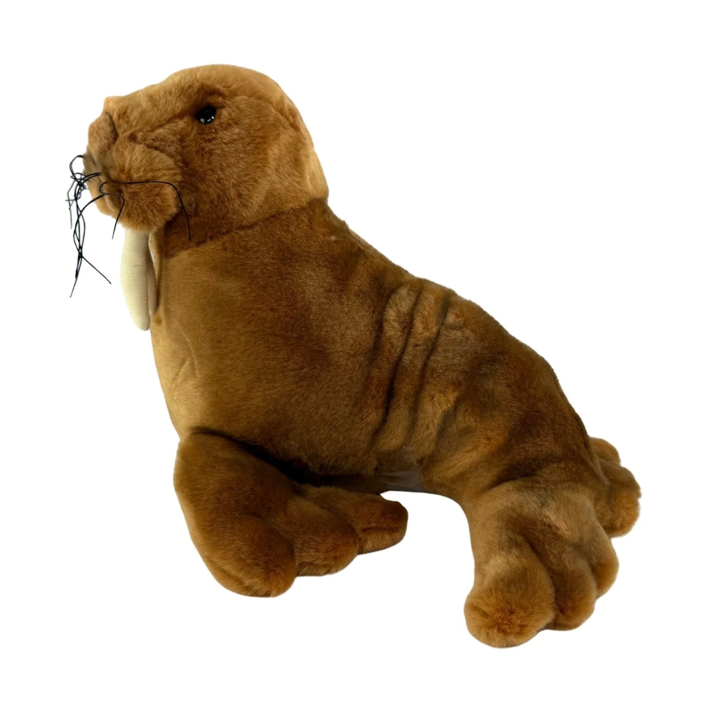 Leopold - Walrus - 26cm