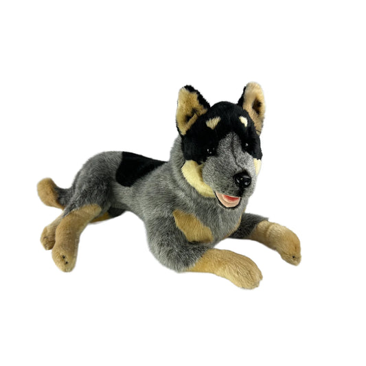 Orazio (Cattle Dog - 62cm lying)