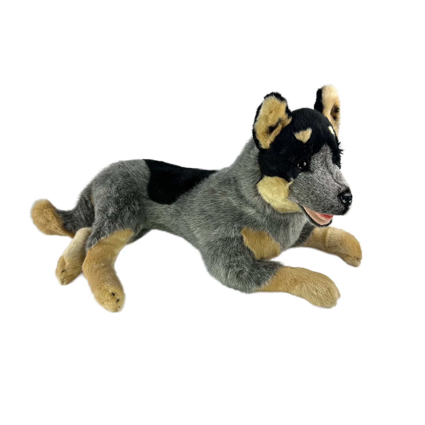 Orazio (Cattle Dog - 62cm lying)