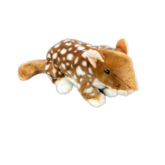 Dotti (Eastern Quoll - 30cm)