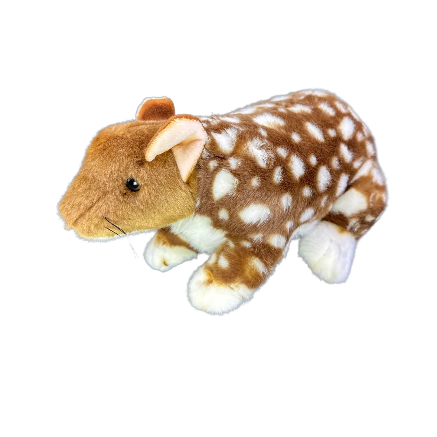 Dotti (Eastern Quoll - 30cm)