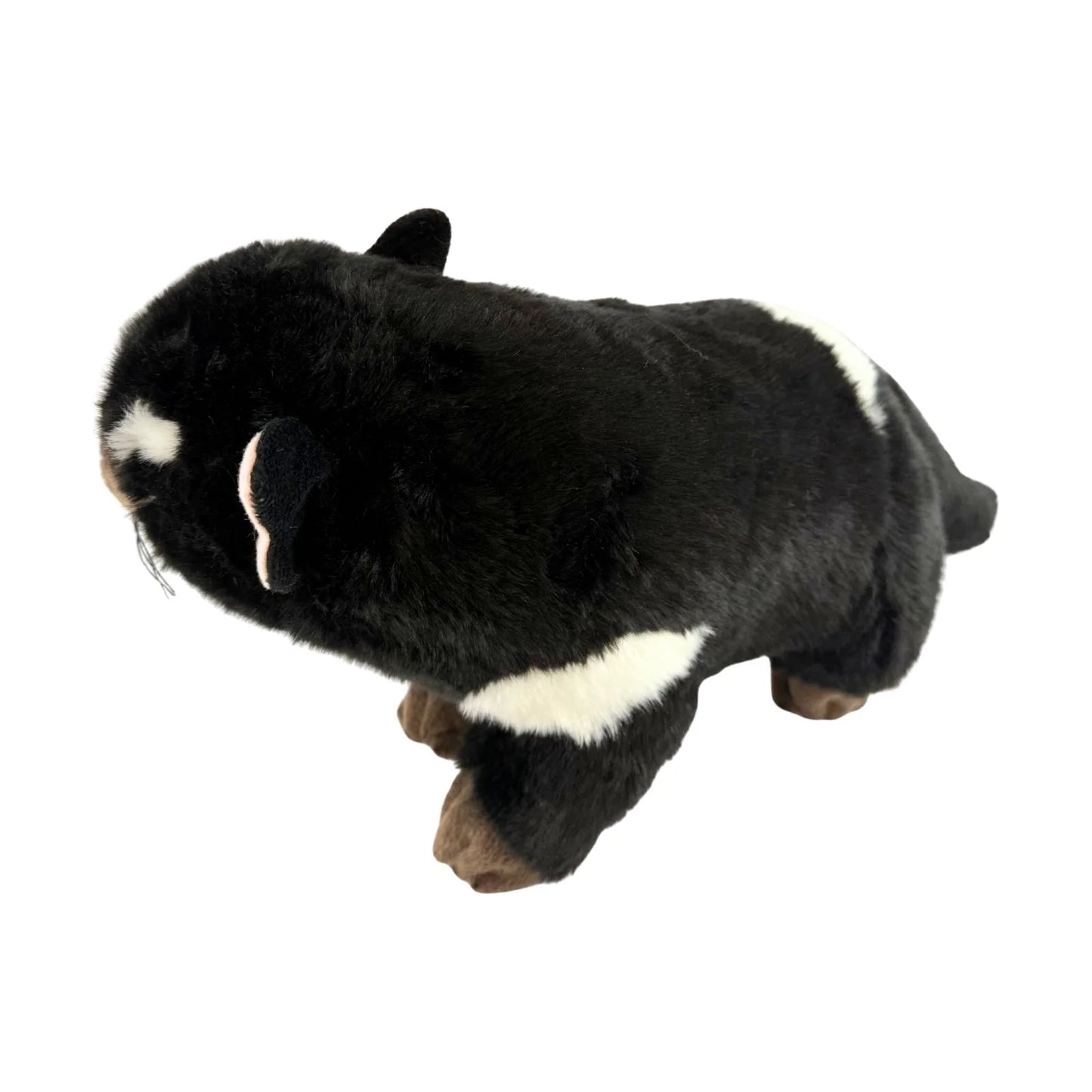 Rupert - Tasmanian Devil - 30cm