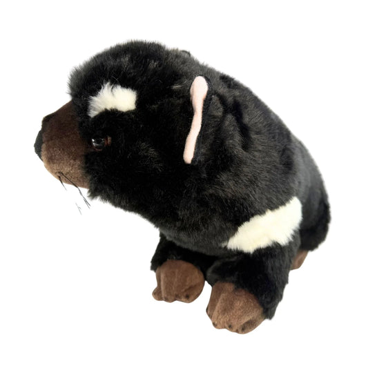 Rupert - Tasmanian Devil - 30cm