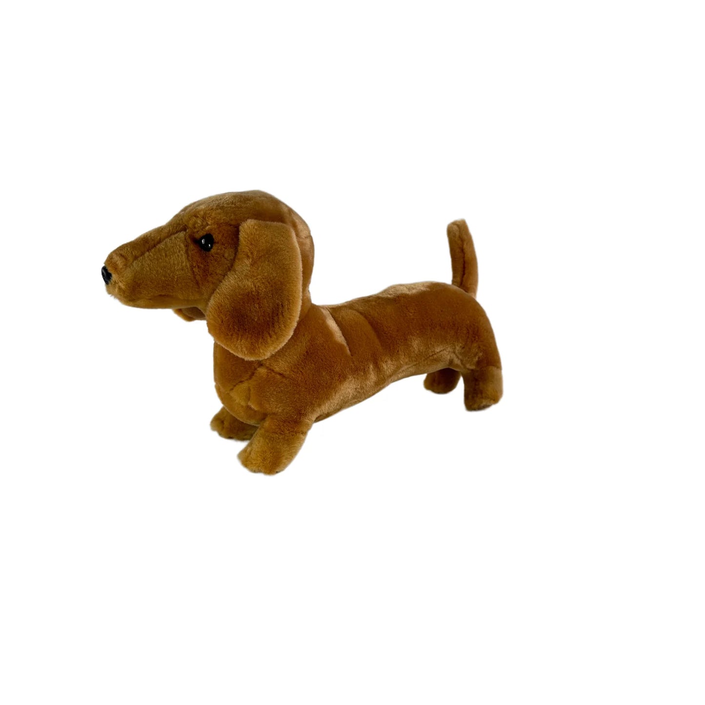 Sadie (Dachshund - 36cm standing, red)