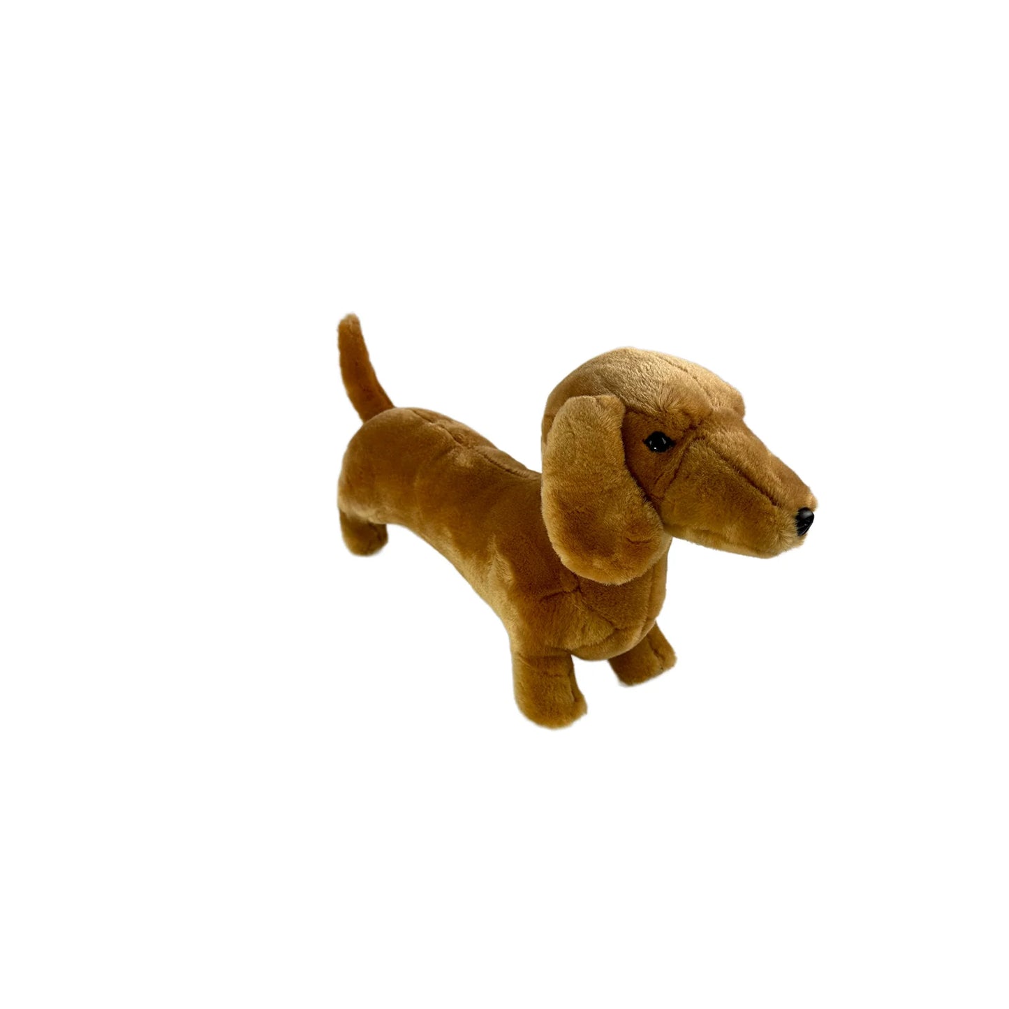 Sadie (Dachshund - 36cm standing, red)