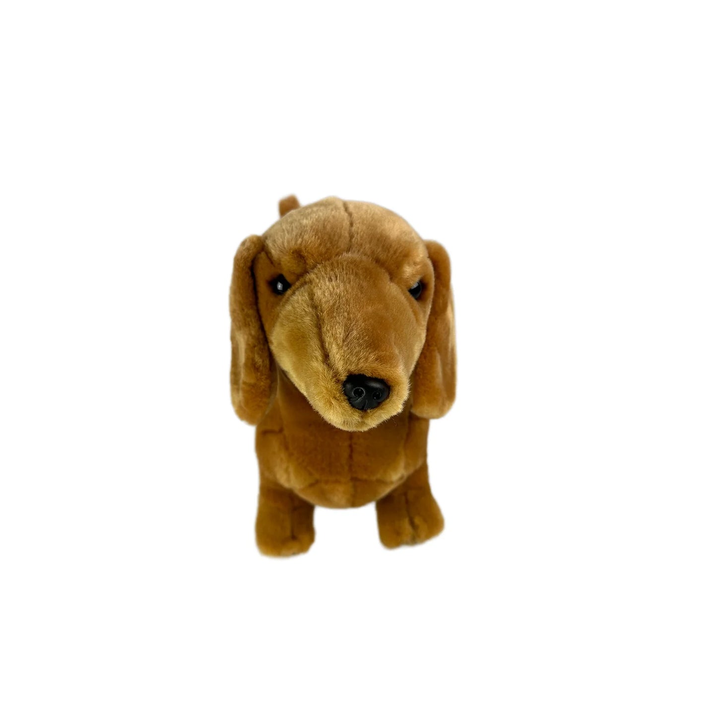 Sadie (Dachshund - 36cm standing, red)