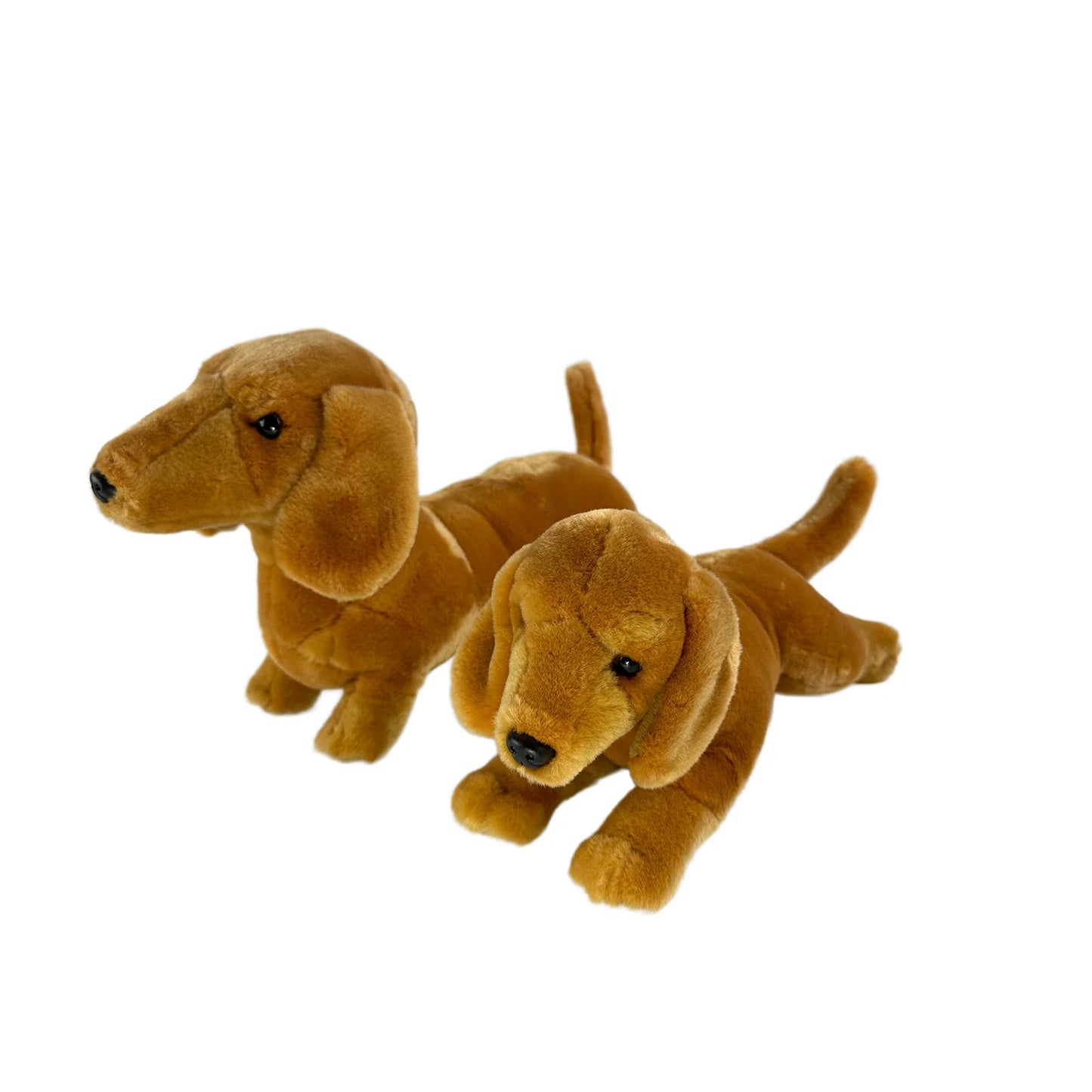 Sadie (Dachshund - 36cm standing, red)