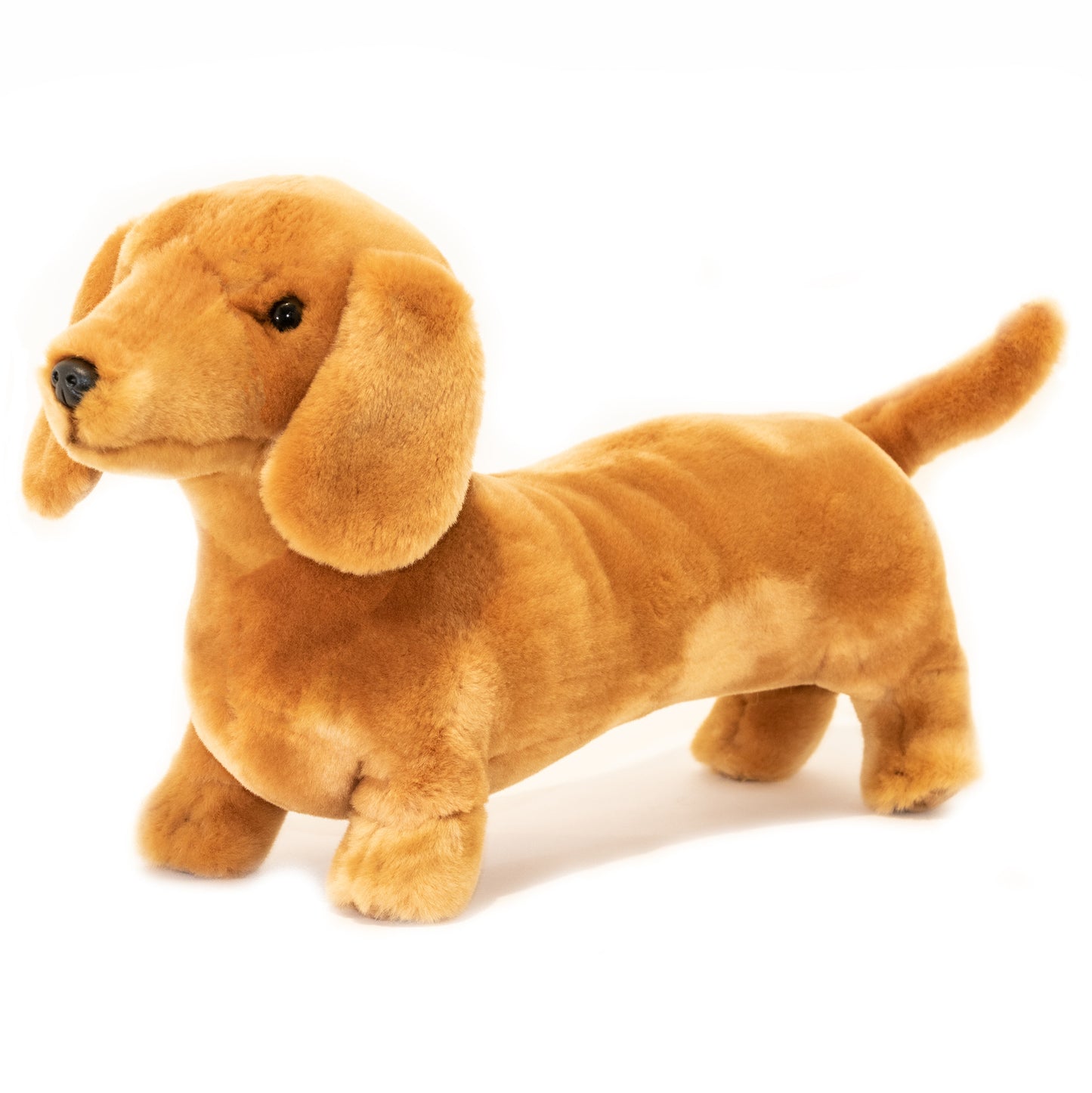 Sadie (Dachshund - 36cm standing, red)