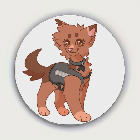 Taegan's ESSA Badge