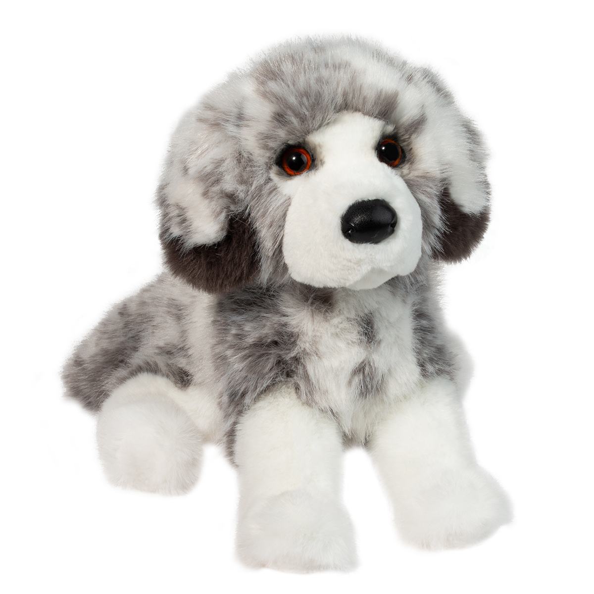 Skylar DLux Australian Shepherd by Douglas