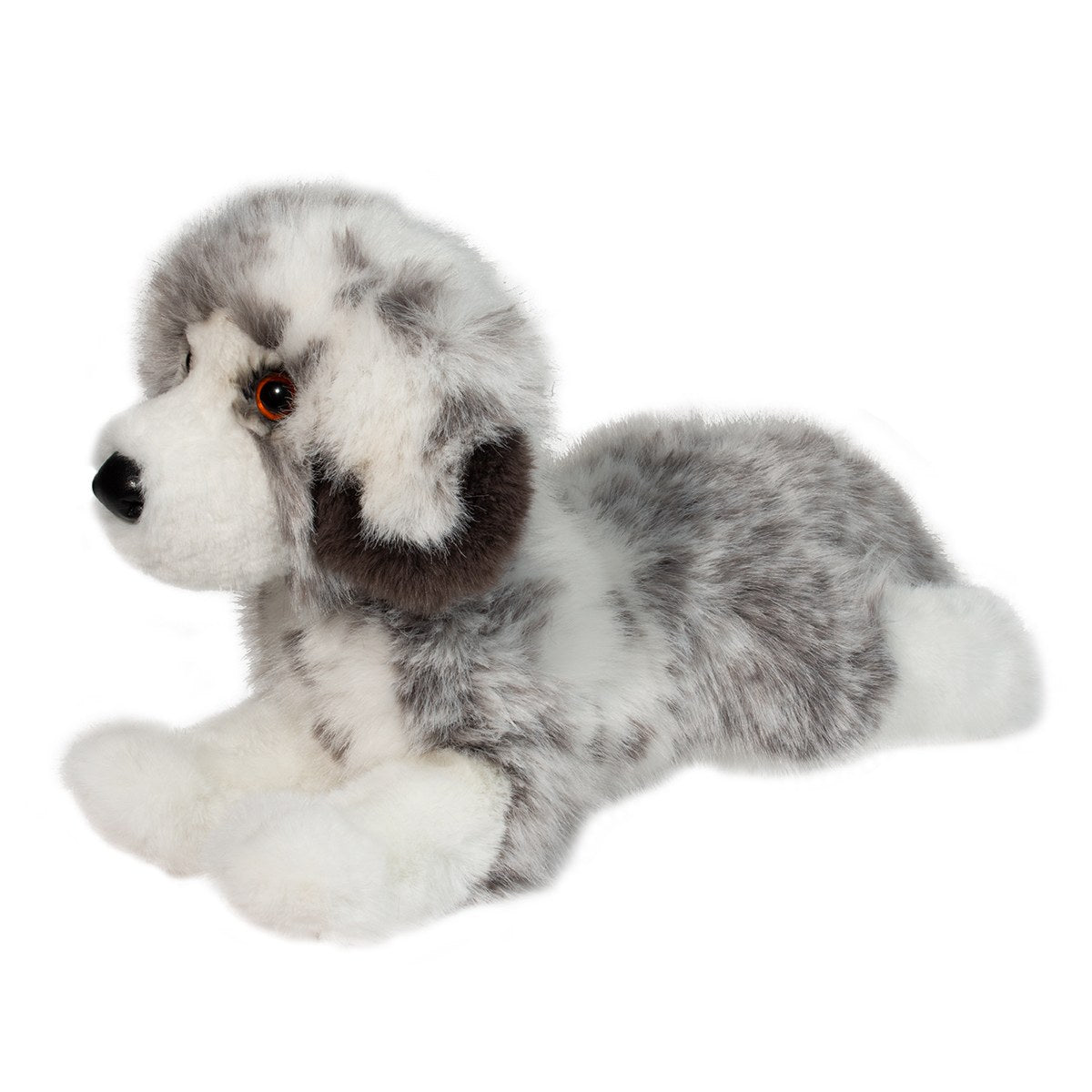 Skylar DLux Australian Shepherd by Douglas