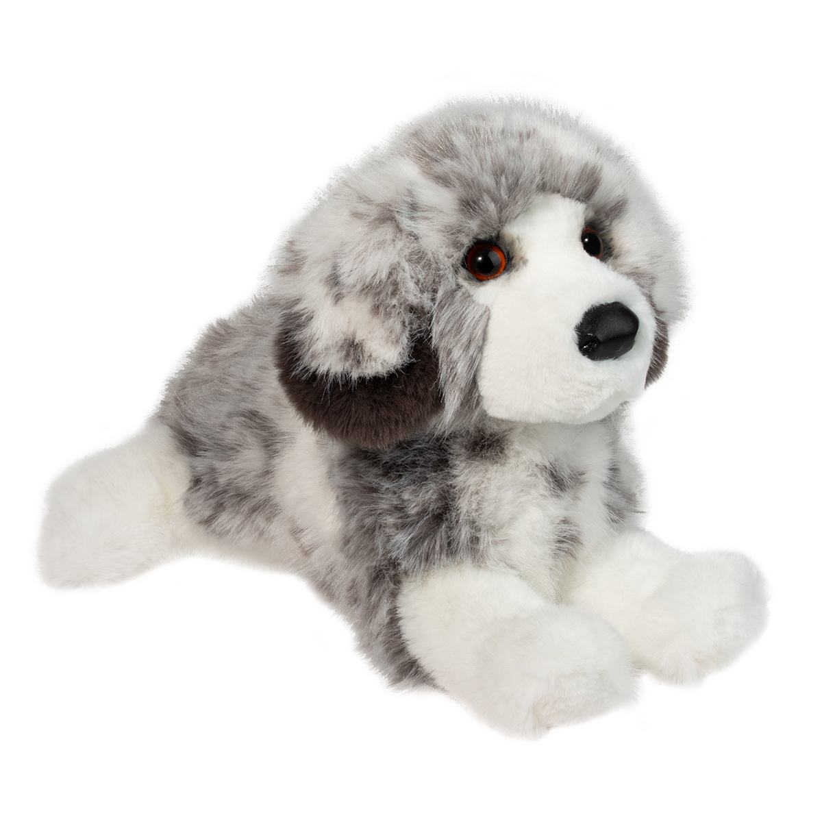 Skylar DLux Australian Shepherd by Douglas