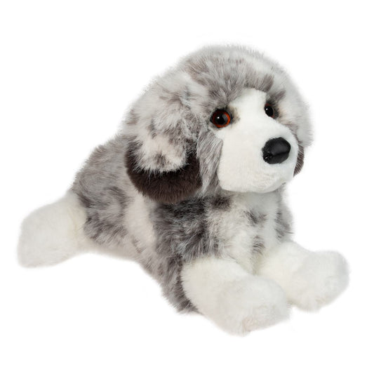 Skylar DLux Australian Shepherd by Douglas