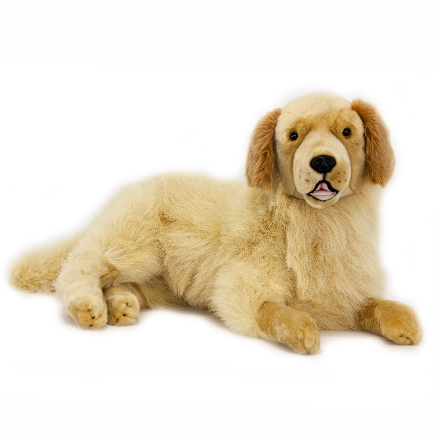Spencer (Golden Retriever - 62cm lying)