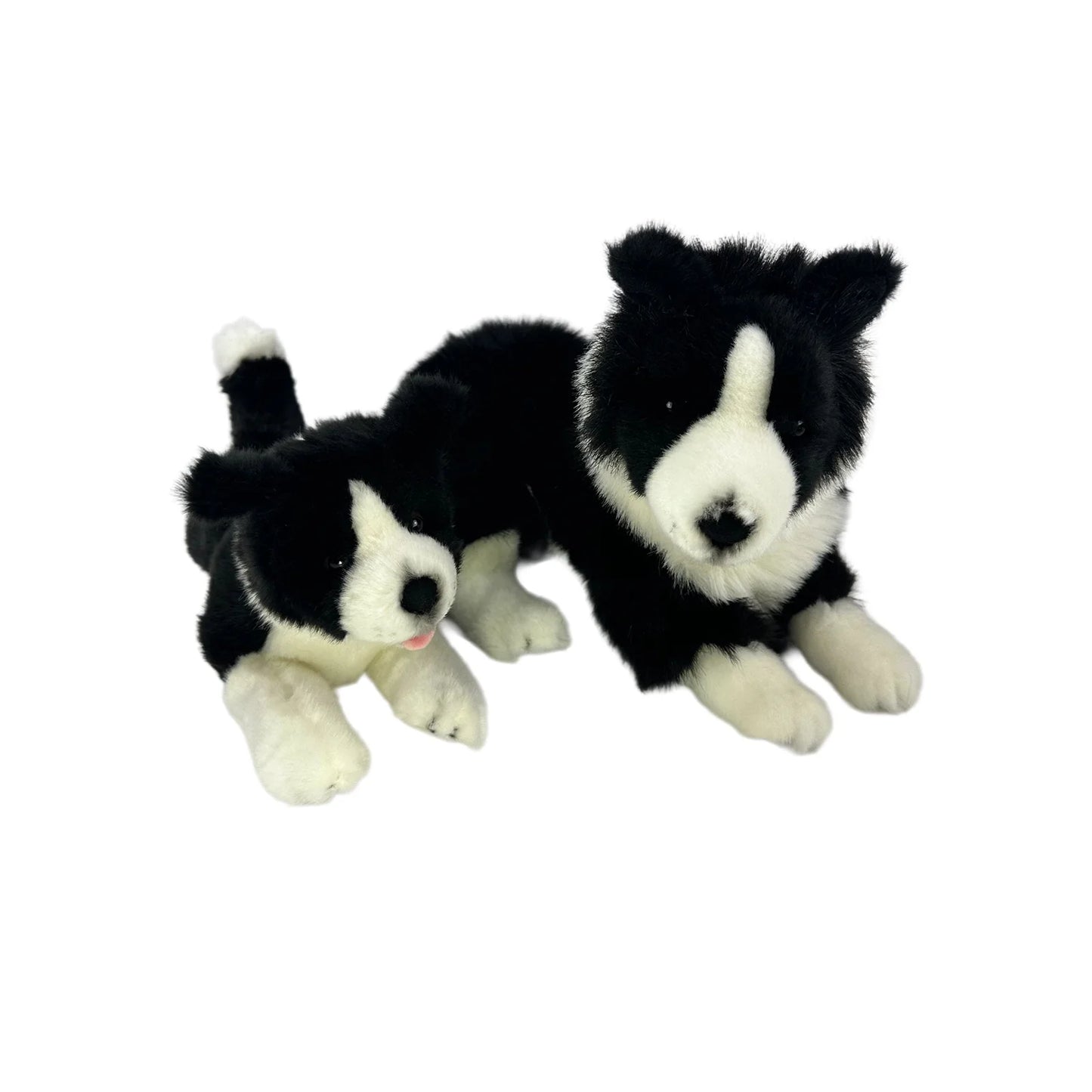 Starsky (Border Collie - 40cm lying) (16")