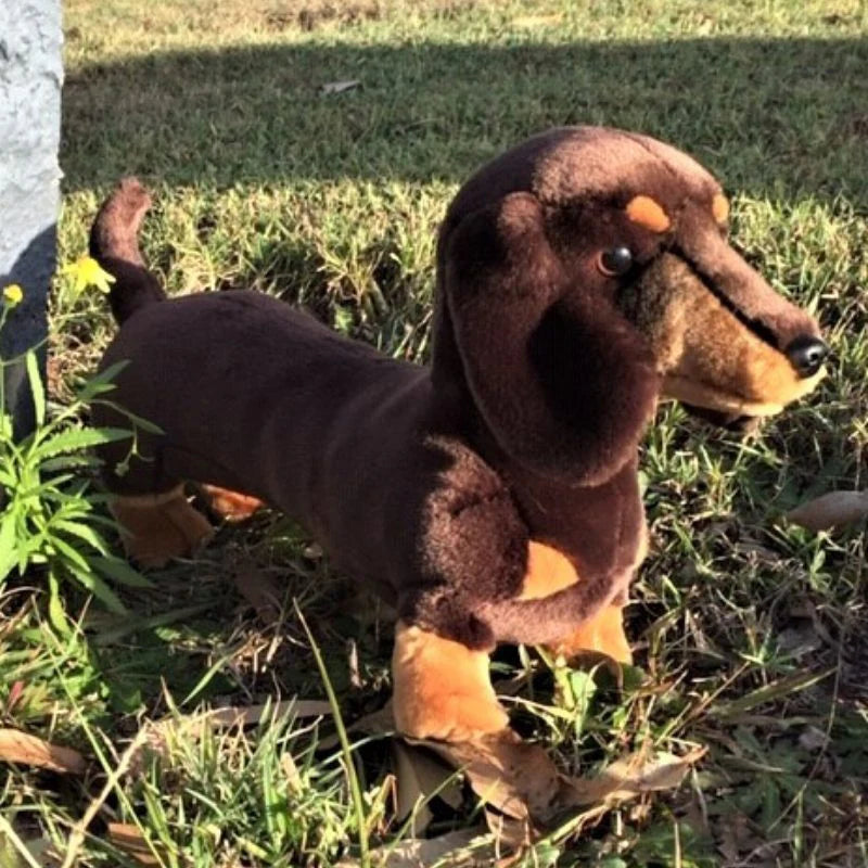 Stretch Dachshund - 37cm standing (14")