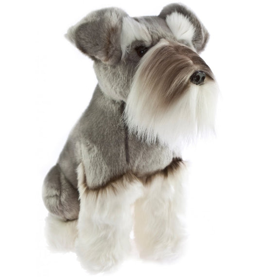Watson (Schnauzer - 35cm sitting)