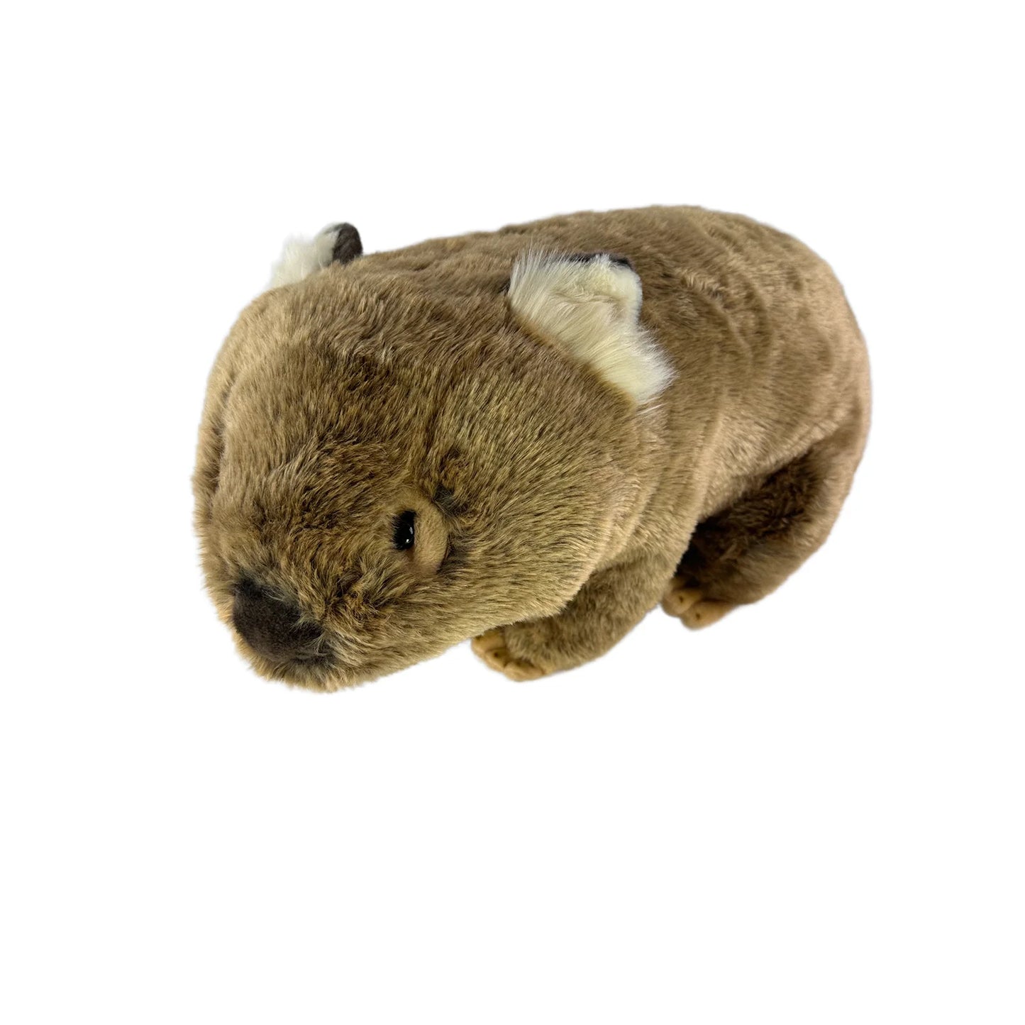 Digger (Wombat - 55cm)