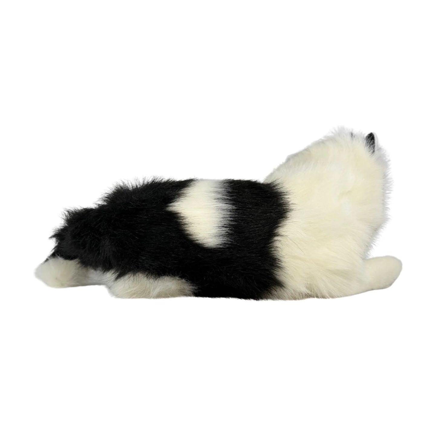 Woodrow - Piebald Cat - 38cm lying, black & white