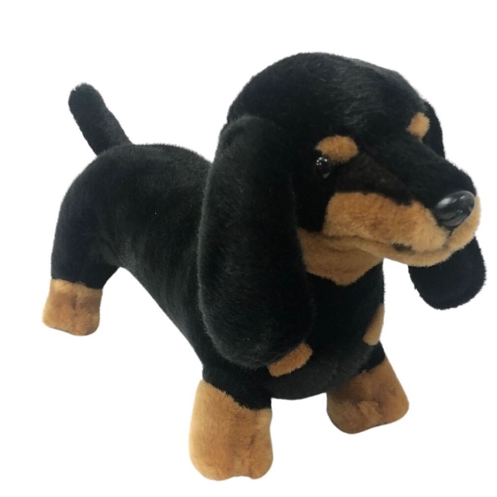 Buddy (Dachshund - 36cm standing, black and tan)