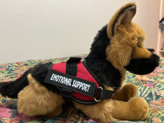 Patches (printed) (2 pieces)