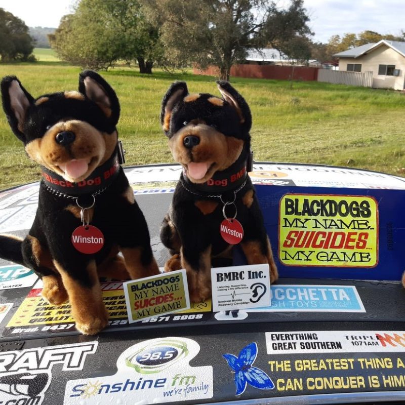 Rex (Kelpie - 28cm sitting, black and tan)