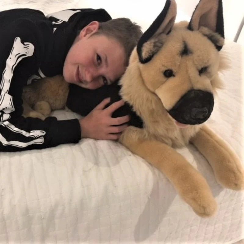Caesar (German Shepherd - 64cm lying)