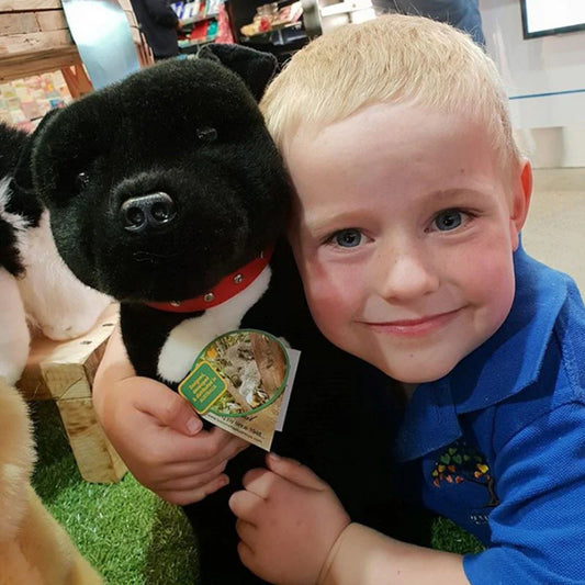 DJ (Staffy - 32cm sitting, black)