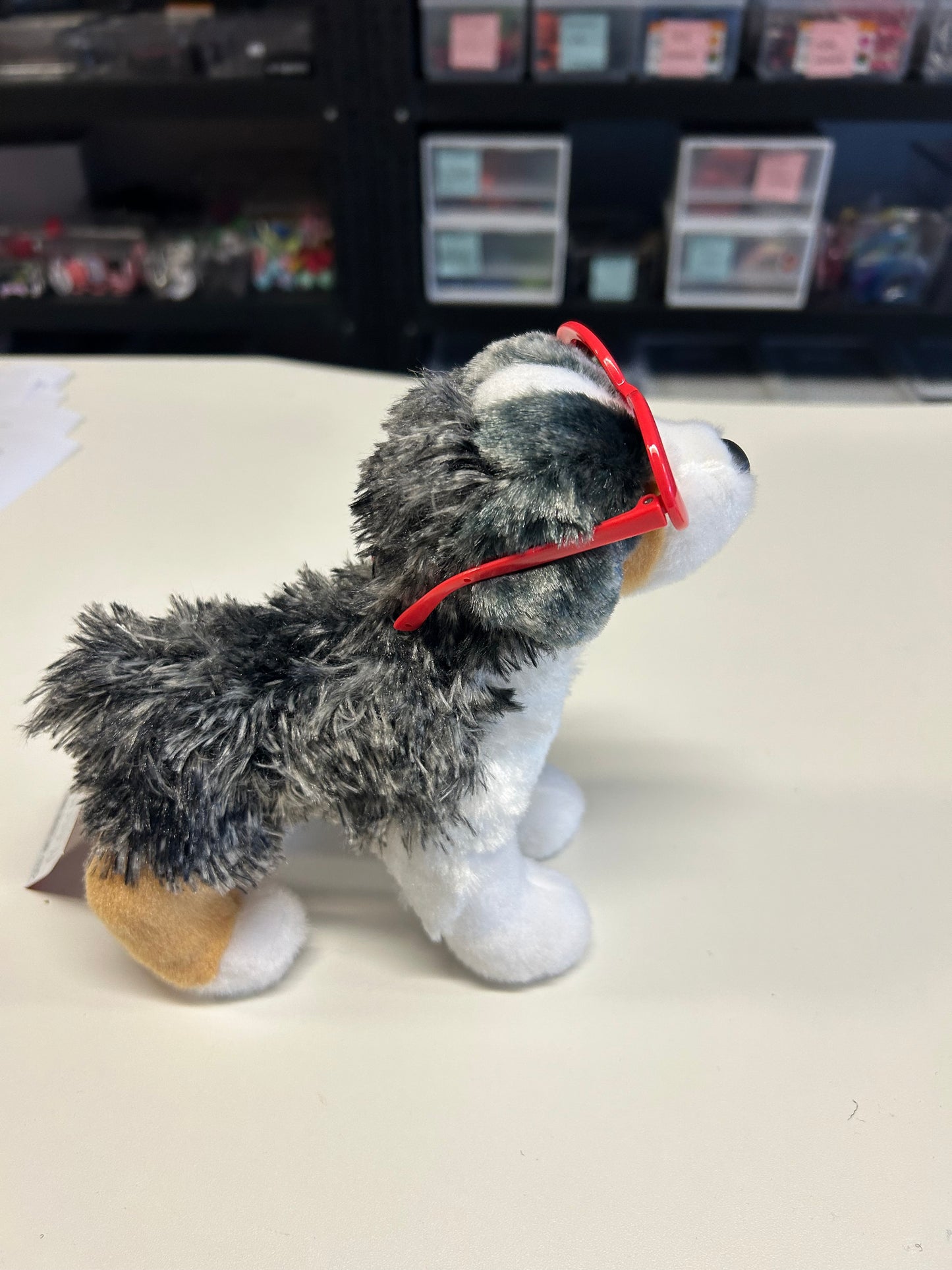 Dog Glasses for Minis and smaller ESSA’s