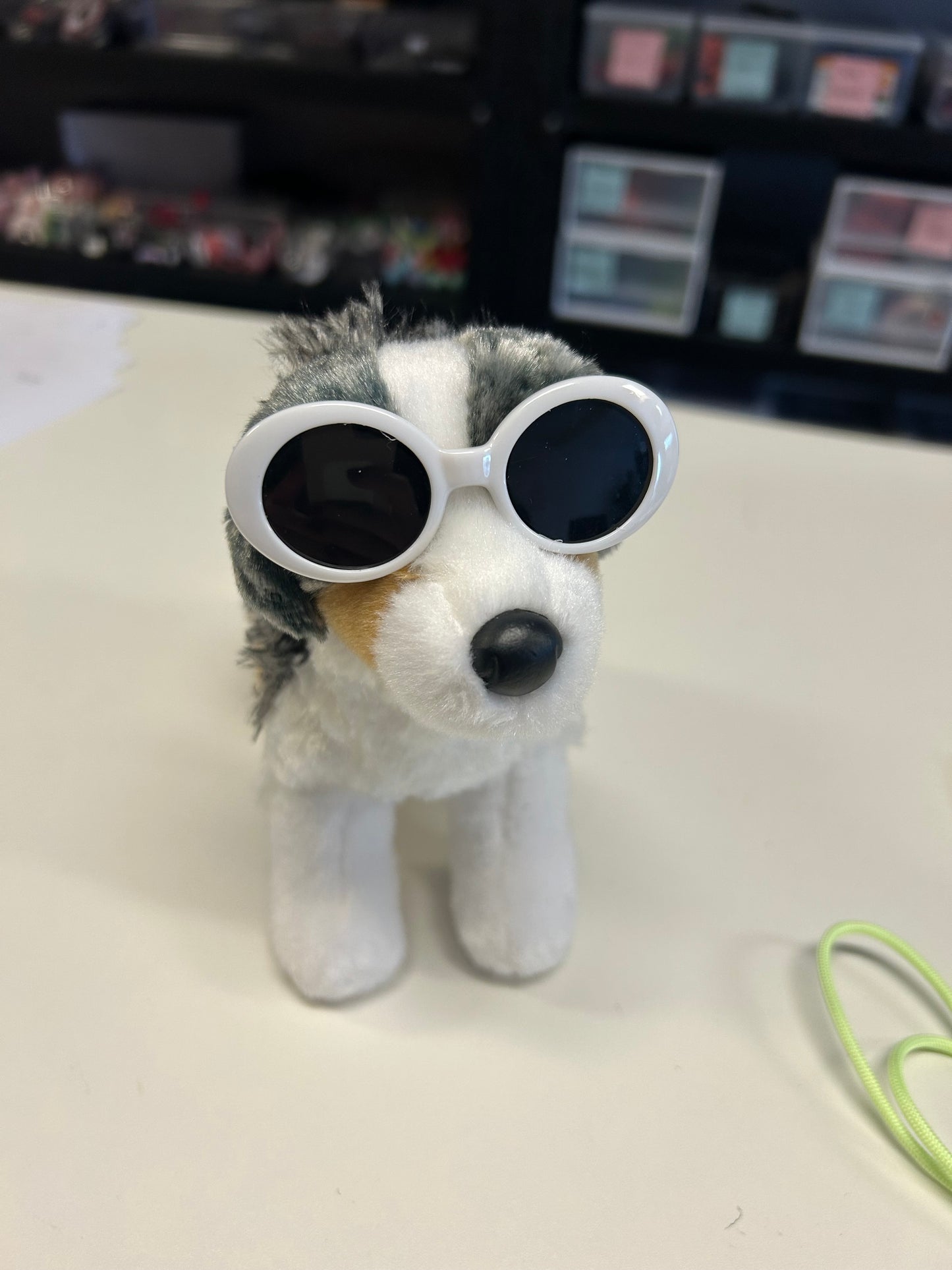 Dog Glasses for Minis and smaller ESSA’s