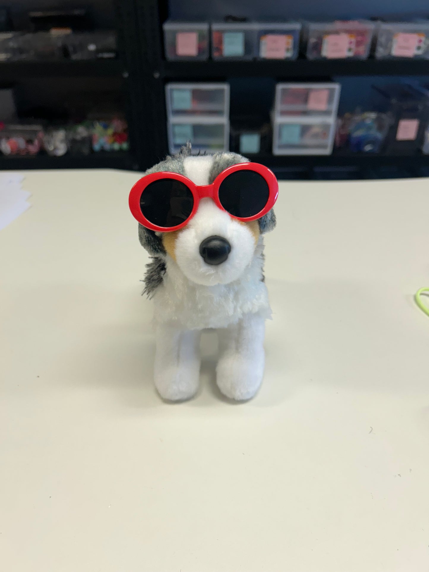Dog Glasses for Minis and smaller ESSA’s