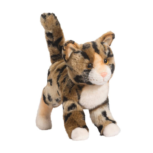 Bengal Cat by Bass Pro