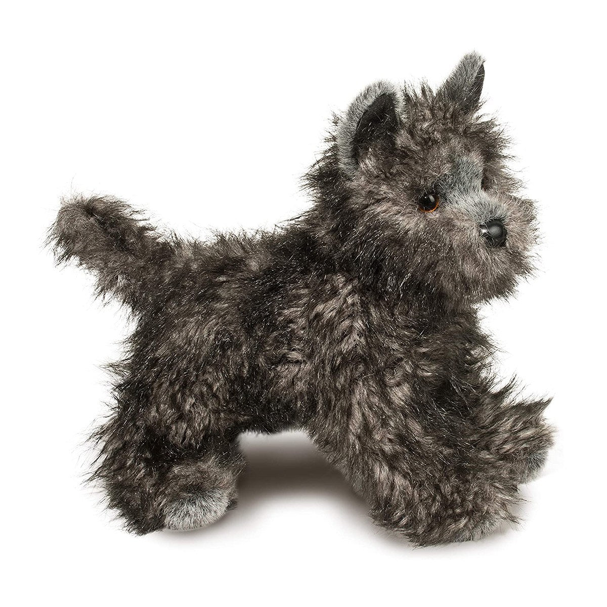 Hazel Cairn Terrier by Douglas