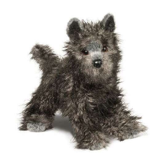 Hazel Cairn Terrier by Douglas