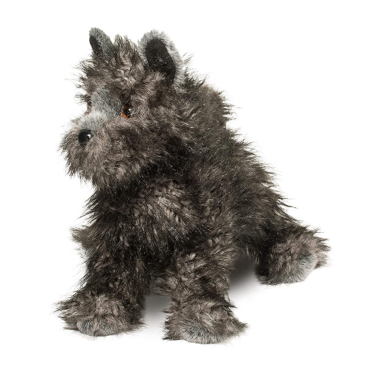 Hazel Cairn Terrier by Douglas
