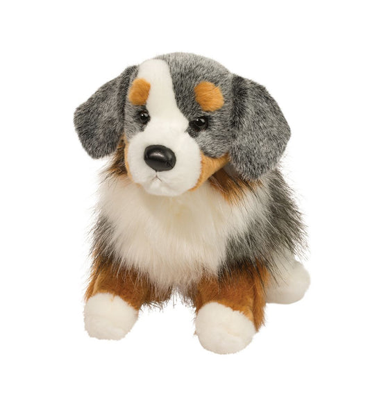 Sinclair Australian Shepherd