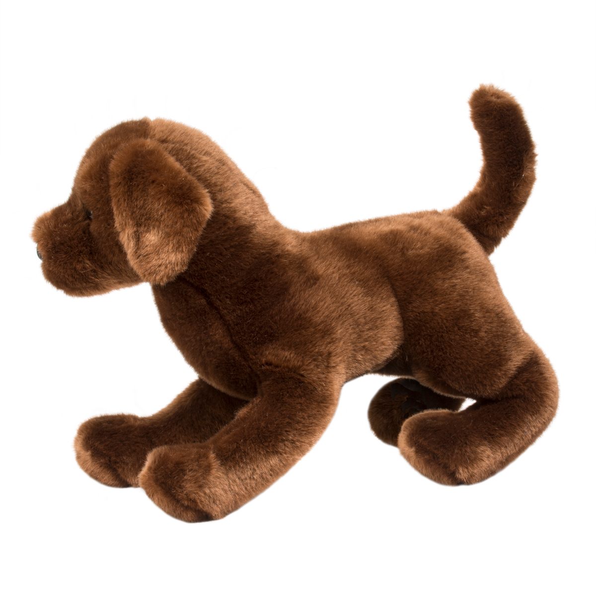 Cocoa Chocolate Lab by Douglas