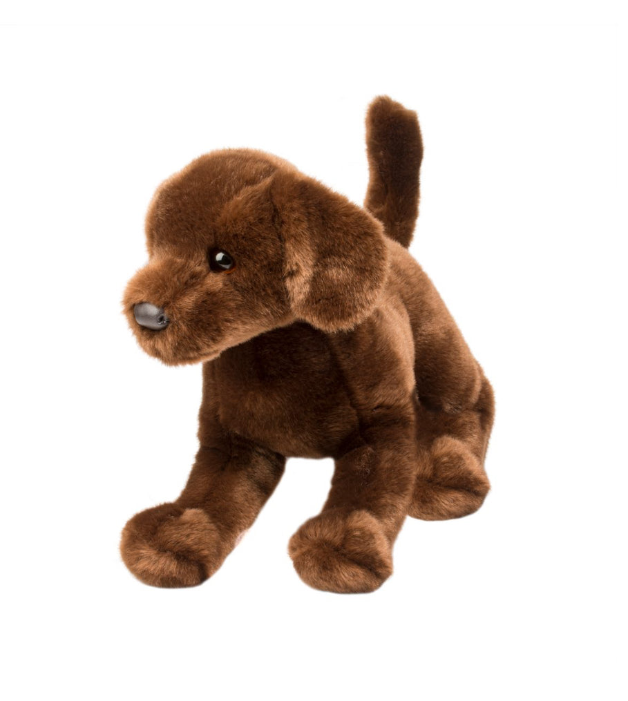 Cocoa Chocolate Lab by Douglas
