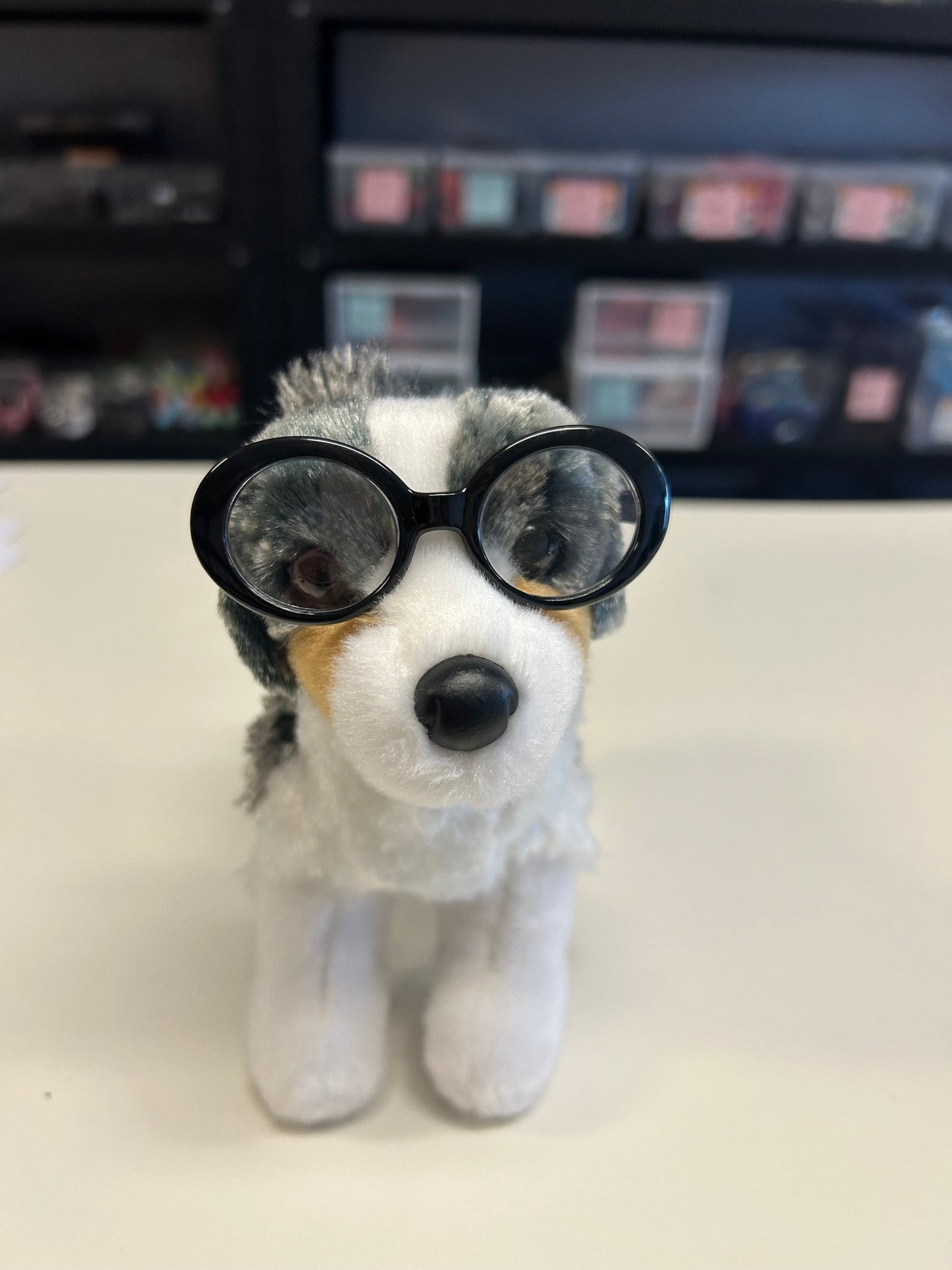 Dog Glasses for Minis and smaller ESSA’s