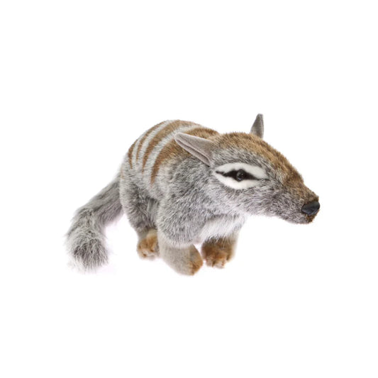 Sherbet (Numbat - 30cm standing)
