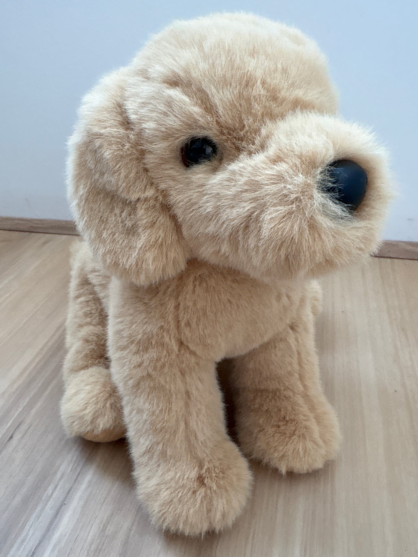 Lacey’s second hand dogs