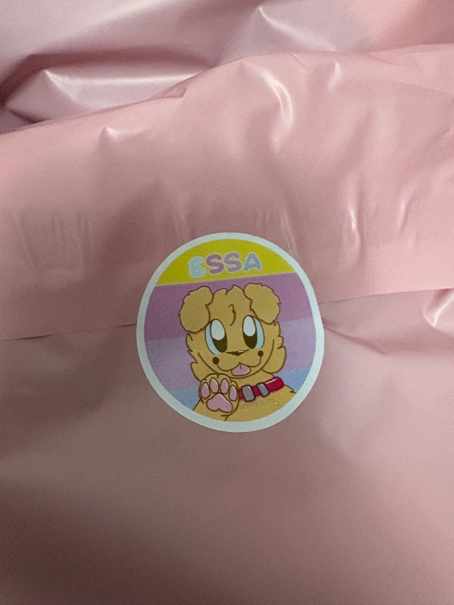 ESSA sticker