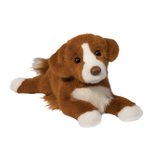 Rush Duck Tolling Retriever by Douglas