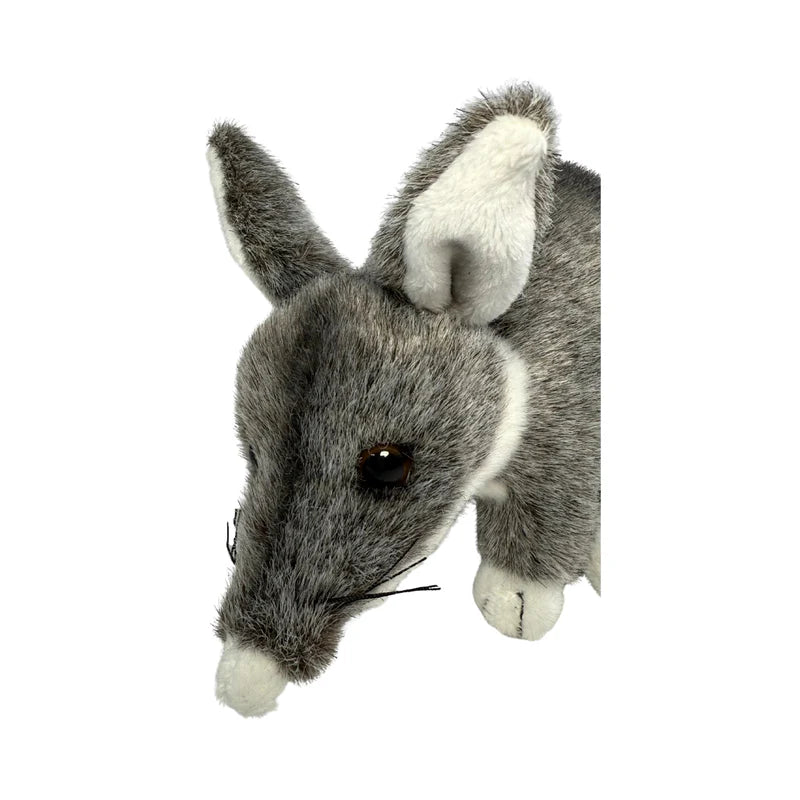 Belinda - Bilby - 20cm standing