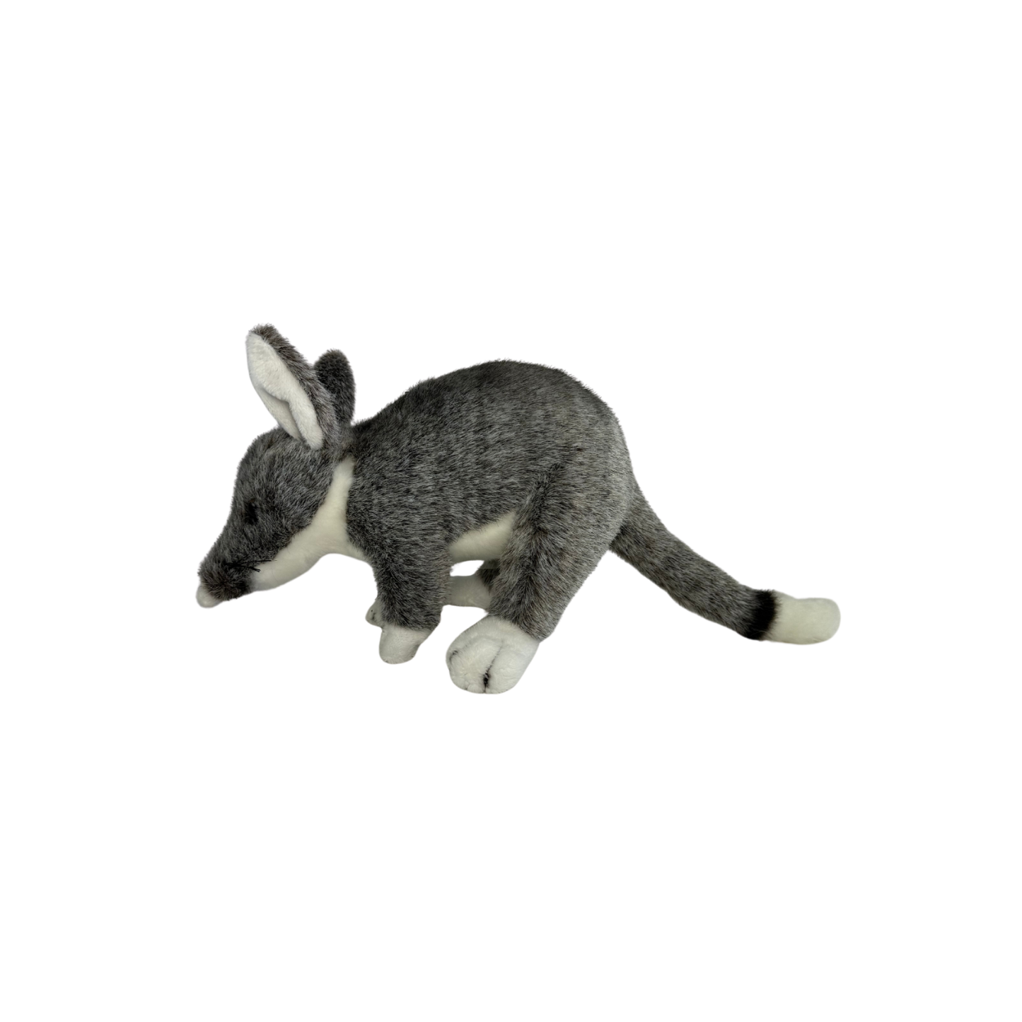Belinda - Bilby - 20cm standing