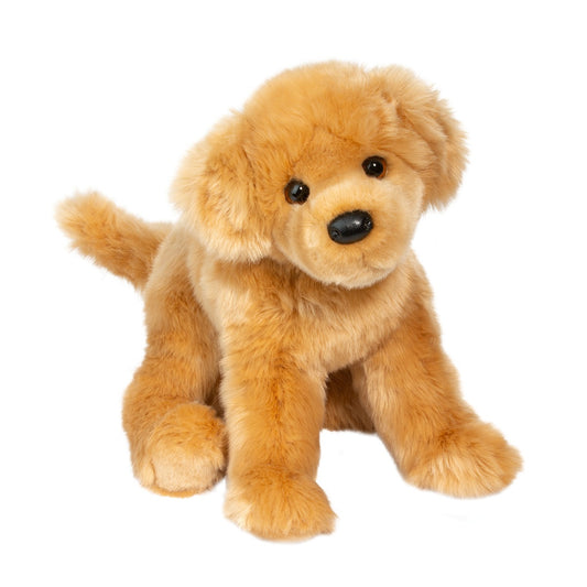 Bella Golden Retriever by Douglas