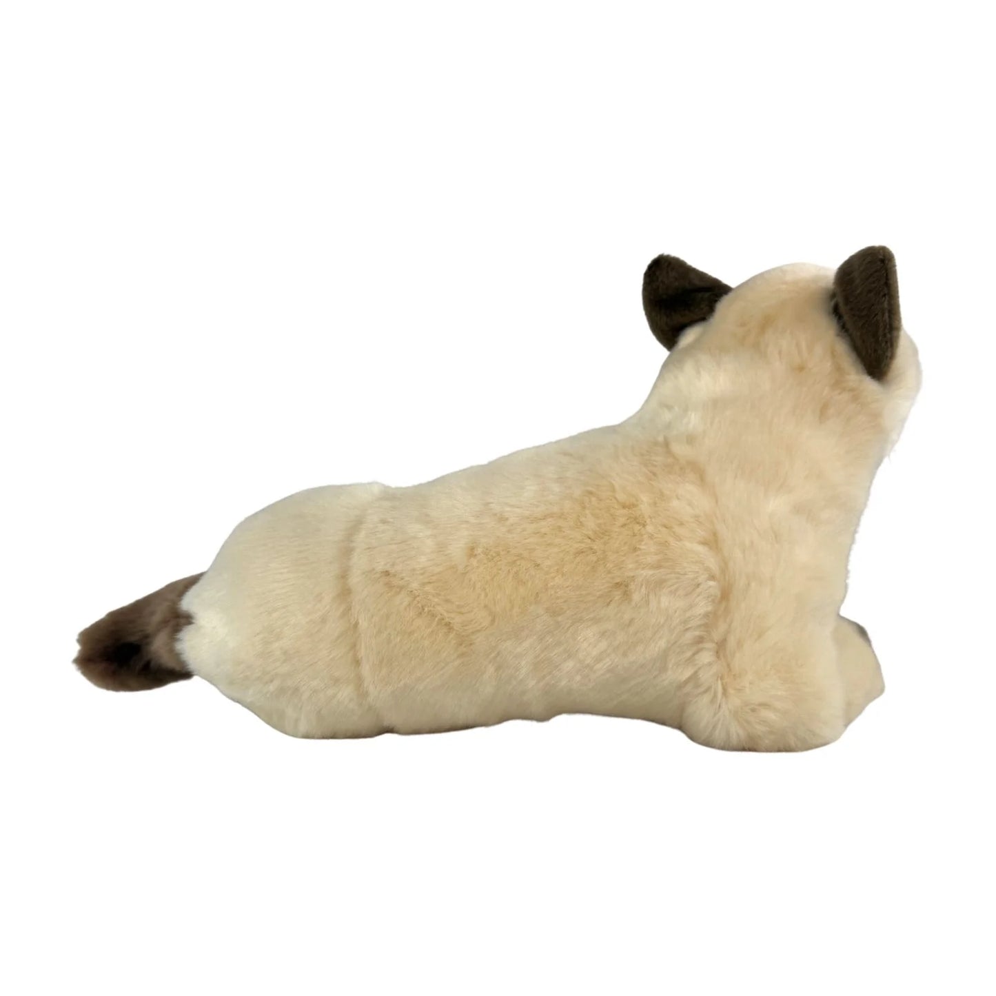 Blossum - Siamese Cat - 30cm lying